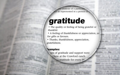 Gratitude